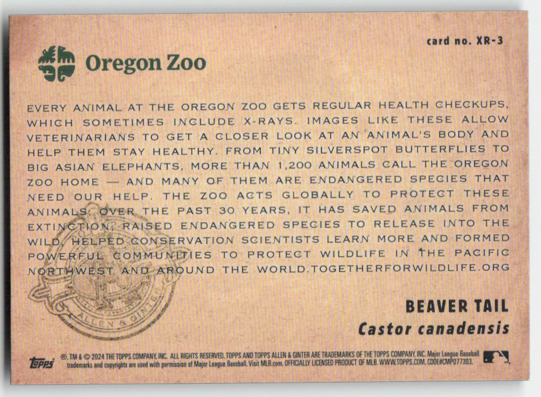 2024 Topps Allen & Ginter #XR-3 Beaver Tail X-ray'd 1124