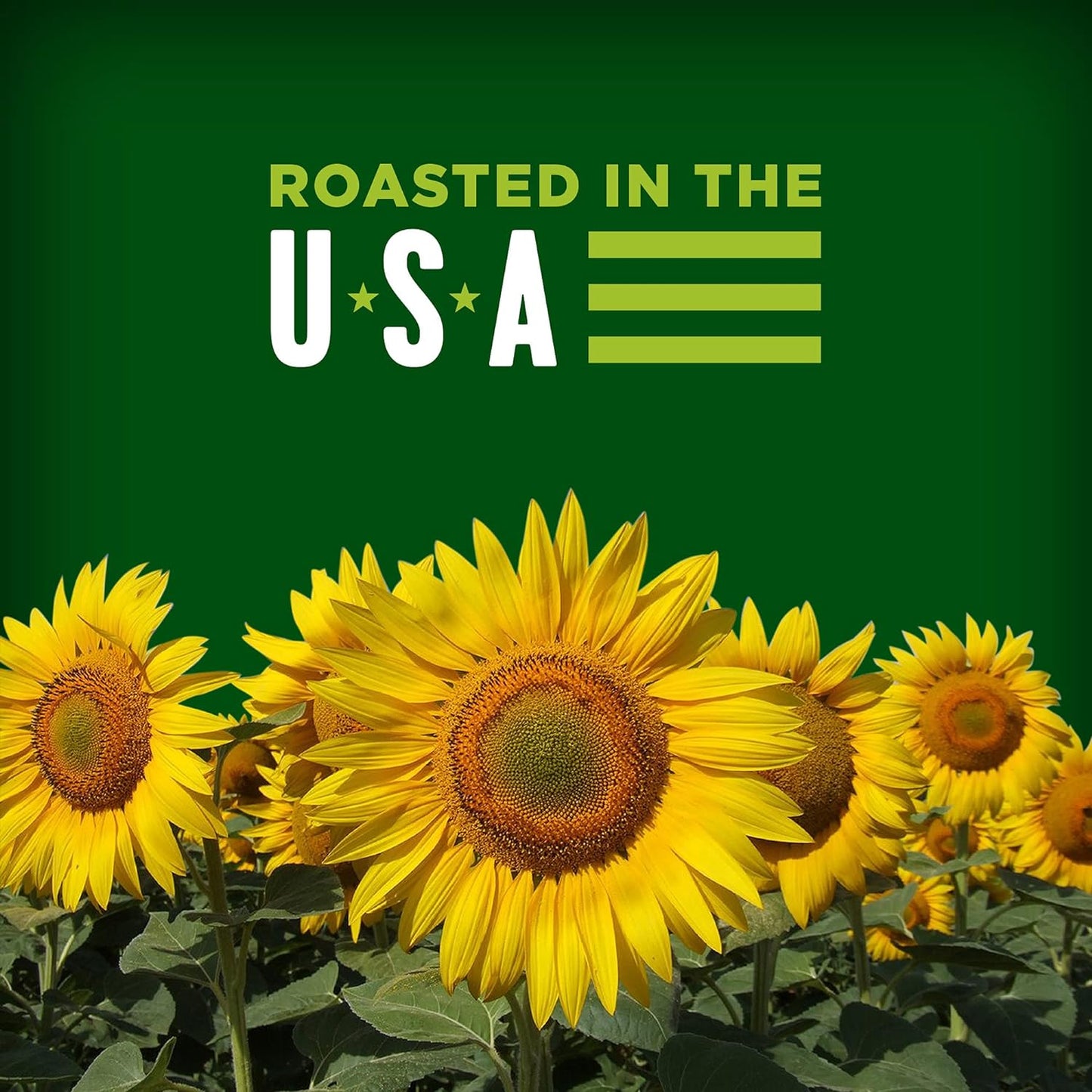 BIGS Sunflower Seeds - Dill Pickle - 2.75oz - Snacks