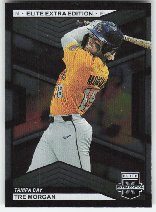 2023 Panini Elite Extra Edition #99 Tre' Morgan Tampa Bay Rays 891