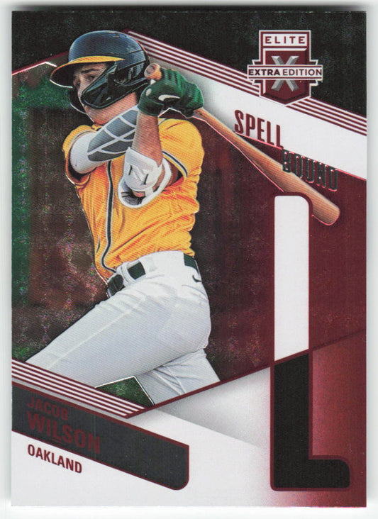 2019 Panini Elite Extra Edition #205 Maximo Maria Dominican Prospect League 892