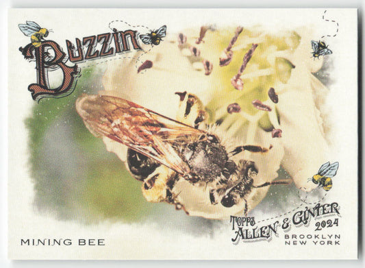 2024 Topps Allen & Ginter #BUZ-12 Mining Bee Buzzin' 1243