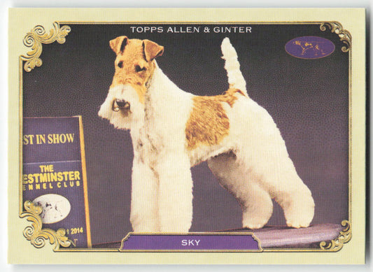 2024 Topps Allen & Ginter #SOS-19 Sky Stars of the Show Kennel Club 1402