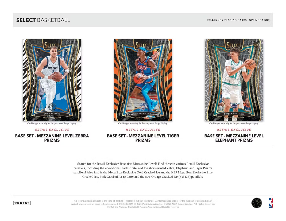 2024-25 Panini Select Basketball Mega Box (10 Packs)