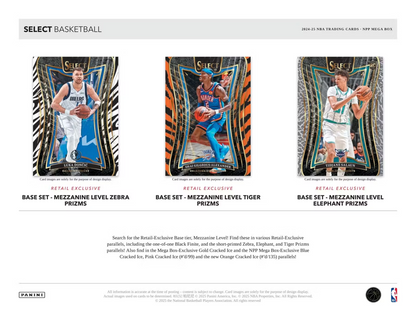 2024-25 Panini Select Basketball Mega Box (10 Packs)